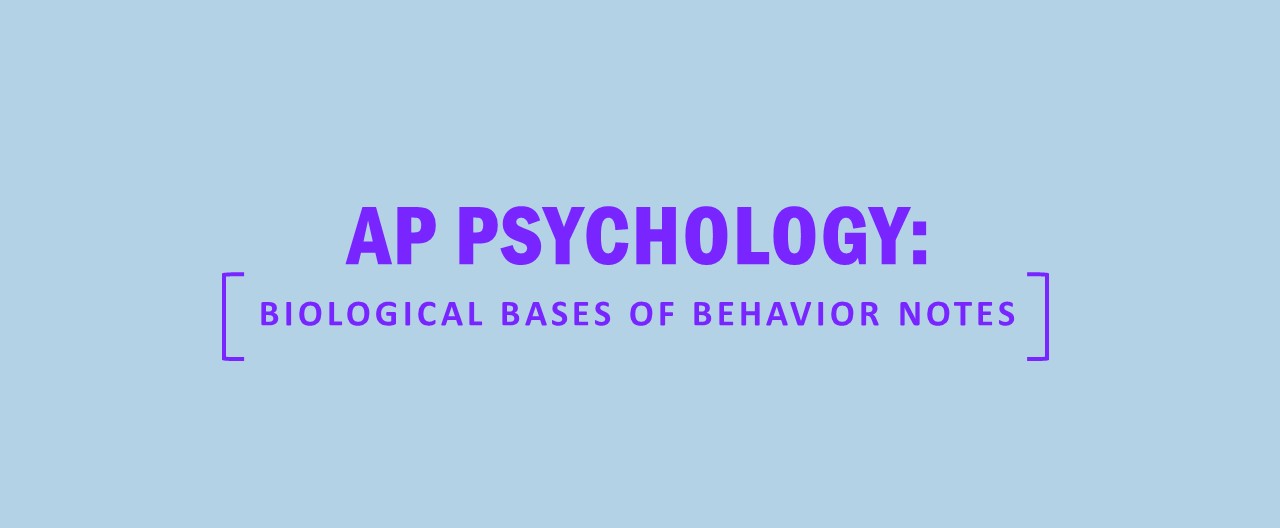 AP Psychology Biological Bases of Behavior Notes